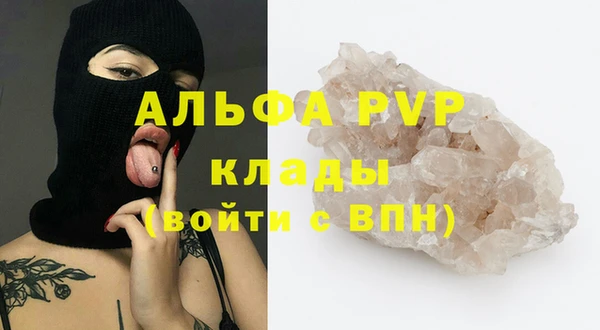 сатива Вязьма