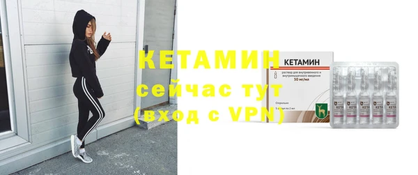 сатива Верея