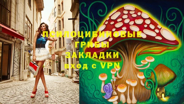 сатива Вязьма