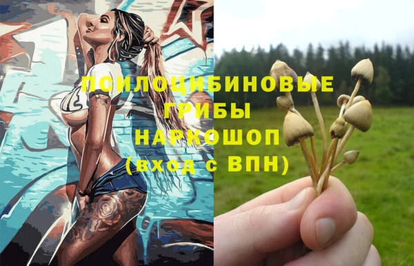 сатива Вязьма